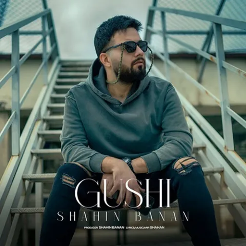 دانلود آهنگ جدید شاهین بنان به نام گوشی