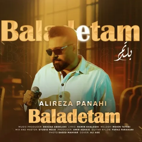 دانلود آهنگ جدید علیرضا پناهی به نام بلدتم