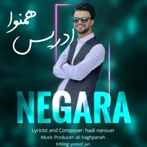 دانلود آهنگ جدید ادریس همنوا به نام نگارا