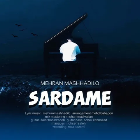 دانلود آهنگ جدید مهران مشهدی لو به نام سردمه