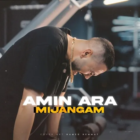 دانلود آهنگ جدید امین آرا به نام میجنگم