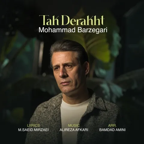 دانلود آهنگ جدید محمد برزگری به نام تک درخت