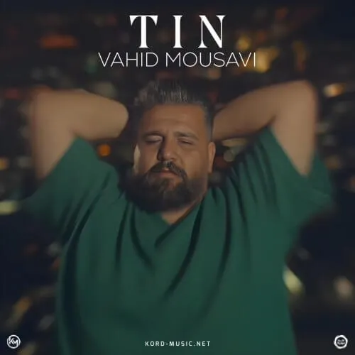 دانلود آهنگ جدید وحید موسوی به نام تین