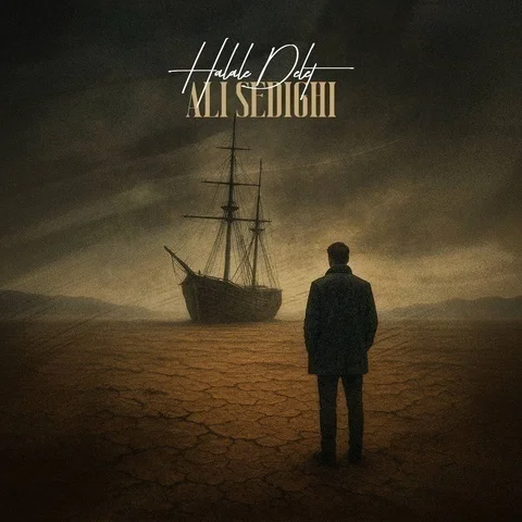 دانلود آهنگ جدید علی صدیقی به نام حلاله دلت