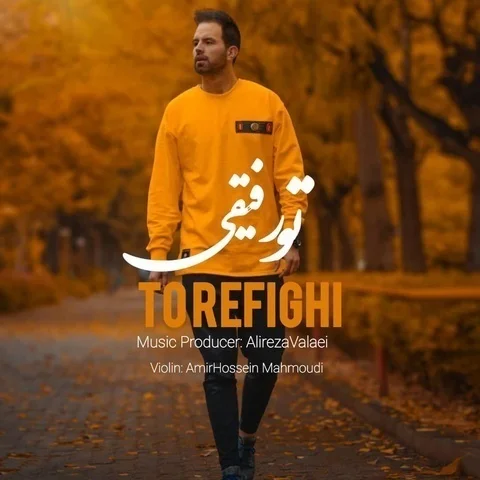 دانلود آهنگ جدید علیرضا ولایی به نام تو رفیقی