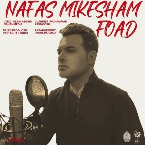 دانلود آهنگ جدید فواد حسینی به نام نفس میکشم