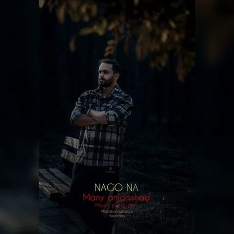 دانلود آهنگ جدید مانی انجم شعاع به نام نگو نه