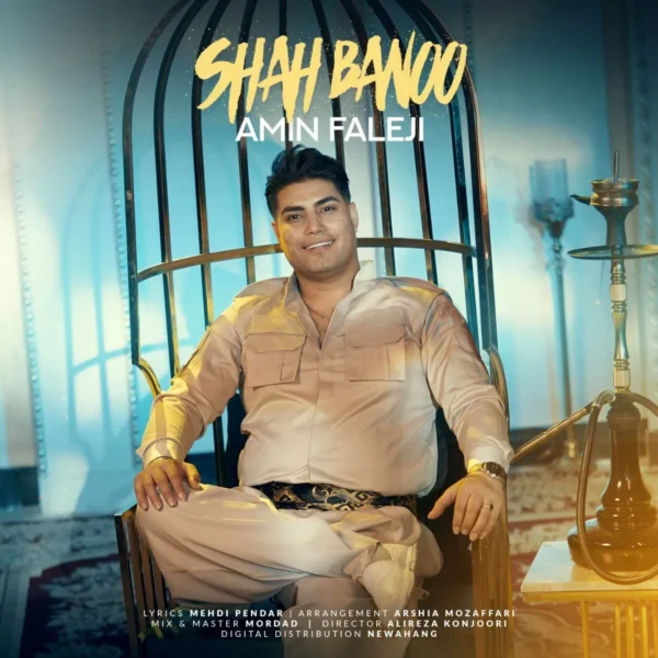 دانلود آهنگ جدید امین فالجی به نام شاه بانو